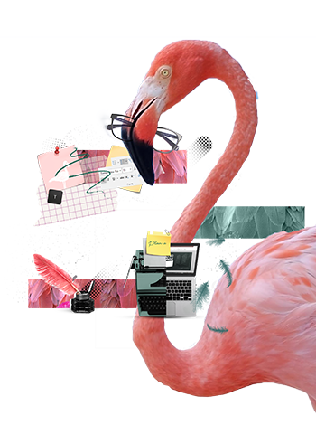 GOO Flamingo