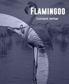 Flamingoo