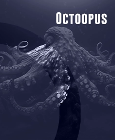 Octoopus